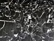Płytki marmurowe NERO MARQUINA 45,7x45,7x1,2 poler