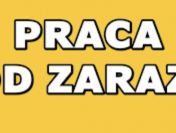Ulotki! Praca dla młodych! 100/150zł za dzień na rękę!
