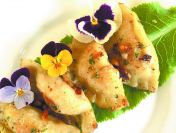 HACCP 0opracuje dokumentacje