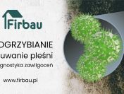 ODGRZYBIANIE ŚCIAN BUDYNKÓW