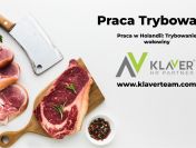 Trybowanie wołowiny- praca w Holandii od zaraz Apeldoorn