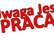 Praca przy roślinach w Holandii – 1 osobowe pokoje!