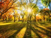 Potrzebujesz gotówki na JESIENNE wydatki ? Spłacimy chwilówki