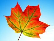 Potrzebujesz gotówki na JESIENNE wydatki ? Spłacimy chwilówki