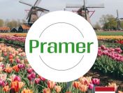 Pracownik magazynu - kompletowanie zamówień | jedna zmiana - praca w Holandii