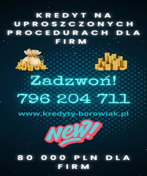 KREDYT DLA FIRM DO 80 000 PLN NAWET PRZY STRACIE! Katowice - Zdjęcie 1
