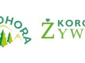 Korona Żywca – wczasy odchudzające w górach z basenem, sauną i trenerem