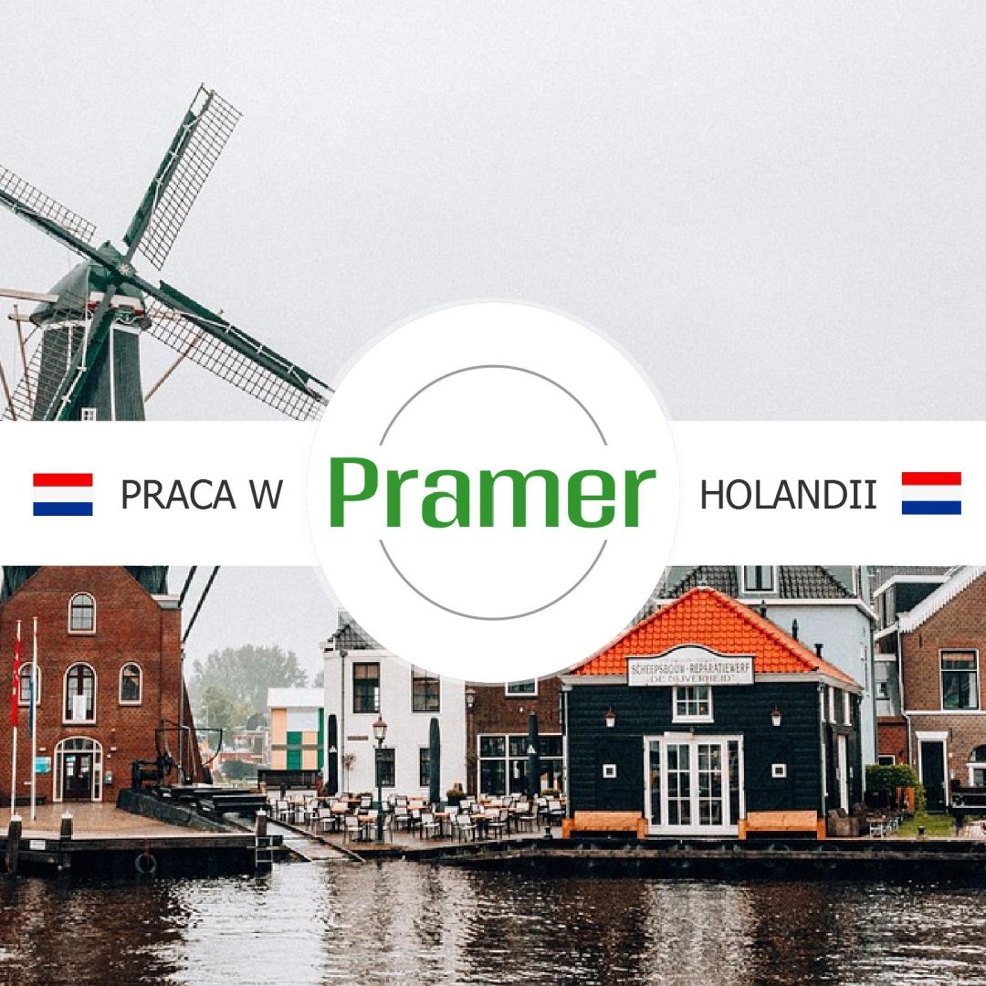 Pracownik przy zbiorze pieczarek - praca w Holandii  - Zdjęcie 1