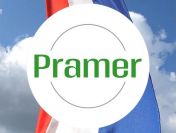 Pracownik przy zbiorze pieczarek - praca w Holandii