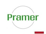 Pakowanie pieczywa - praca w Holandii