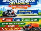 Kasacja, złomowanie ciężarówek. Odbiór we wskazanym miejscu. Śląsk i Małopolska