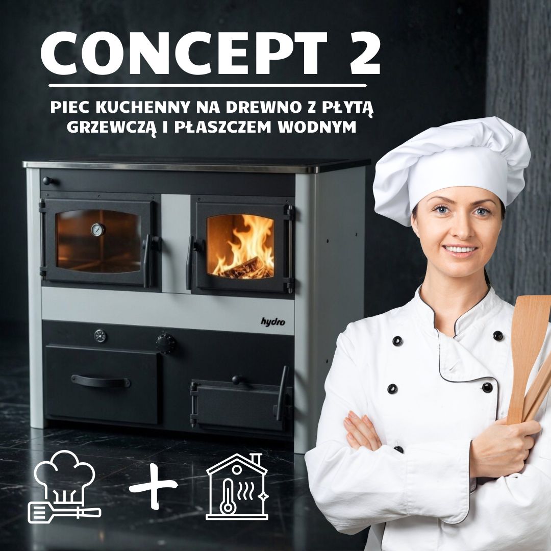 Piec kuchenny na drewno Concept 2 - 18 kW Rybnik - Zdjęcie 1