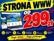 Strony internetowe za 299 zł - wykonanie od A do Z