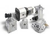 Pompa CASAPPA PLM20.14L5-55B2-LG